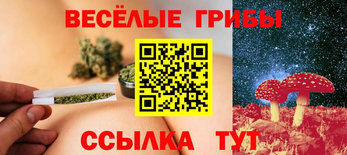 Псилоцибиновые грибы мицелий Нижнеудинск